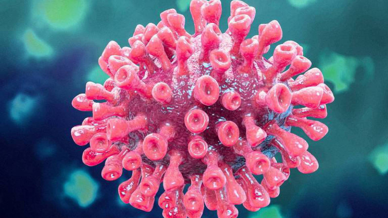 تونس : 71 حالة وفاة و 2228 اصابة