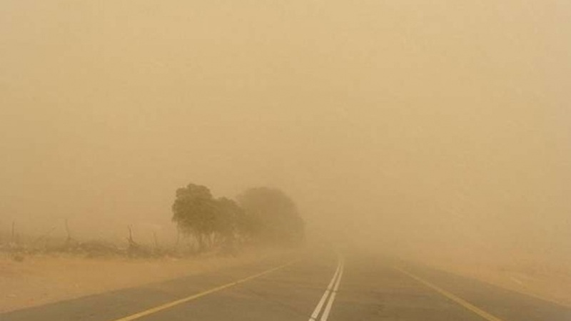 تصل سرعتها إلى 100 كم/س: رياح رملية قوية  بالجنوب اليوم وغدا