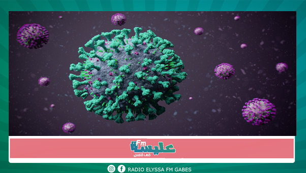 سلالة القيروان: خطيرة سريعة ولم تستثن أحدا