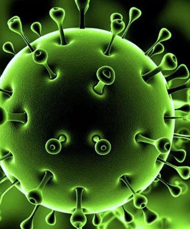 نابل: تسجيل أول إصابة بـالسلالة جنوب إفريقية لشخص أجنبي