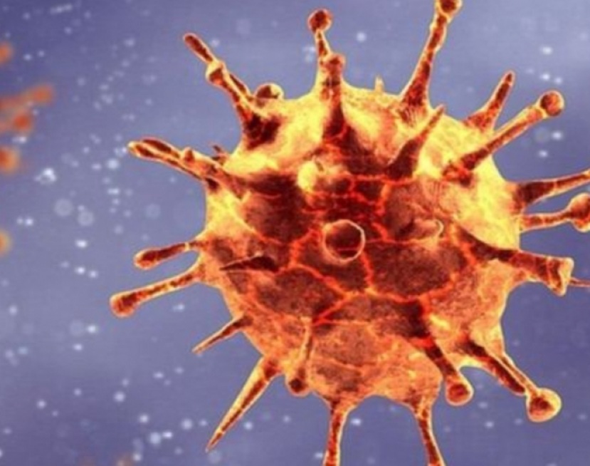 اللجنة العلمية لمجابهة فيروس كورونا توصي بتفعيل البروتوكول الصحي الخاص بقاعات الأفراح