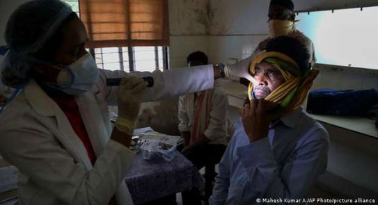 الفطر الأسود ينتشر في مصر