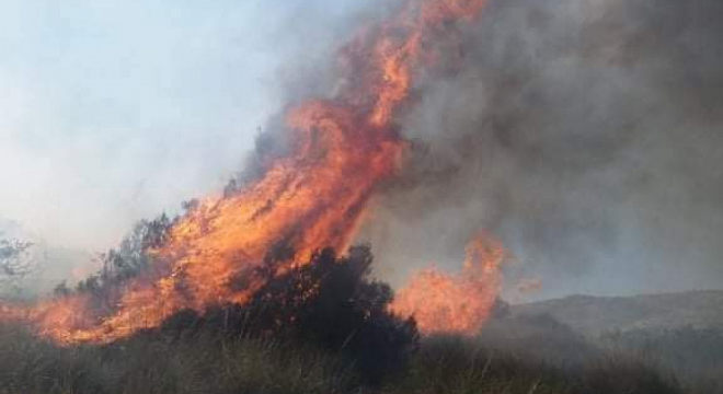 إطفاء 104 حرائق في يوم واحد